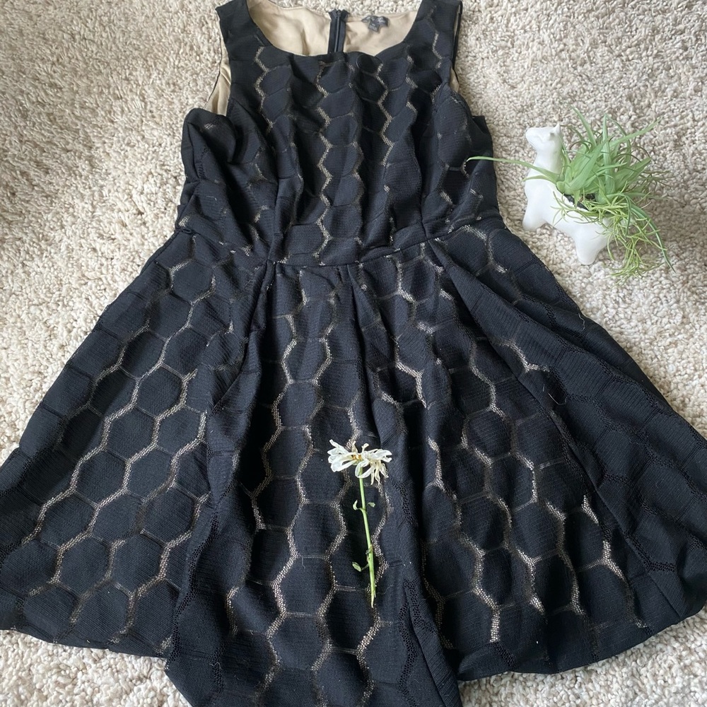 Lily Rose behive pattern vintage mesh mid summer evening dress. Super hip - Picture 2 of 4